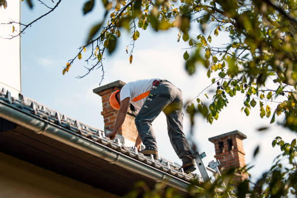 Best Storm Damage Roof Repair  in Bellows Falls, VT
