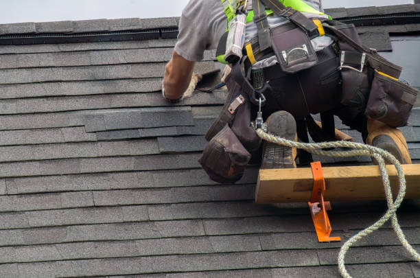 Best Roof Moss and Algae Removal  in Bellows Falls, VT