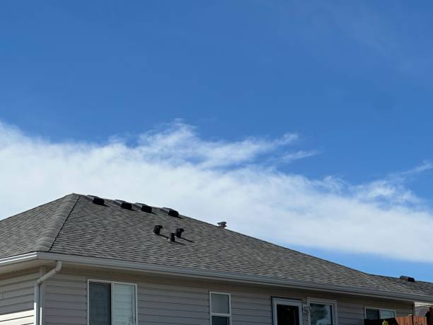 Best Roof Moss and Algae Removal  in Bellows Falls, VT